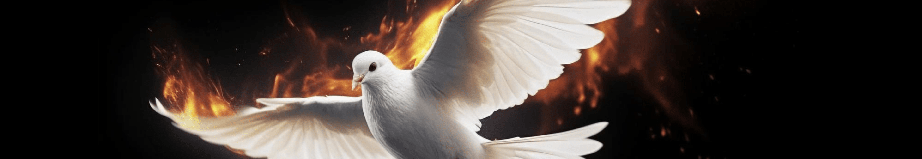 II niedziela zwykła – 18.01.2026